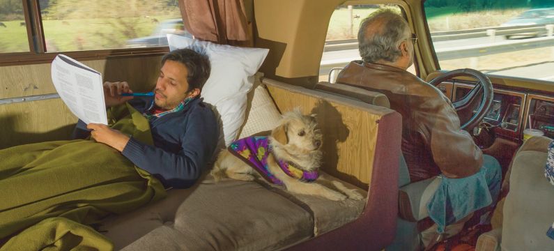 Dog enjoying a motorhome trip with its owner
